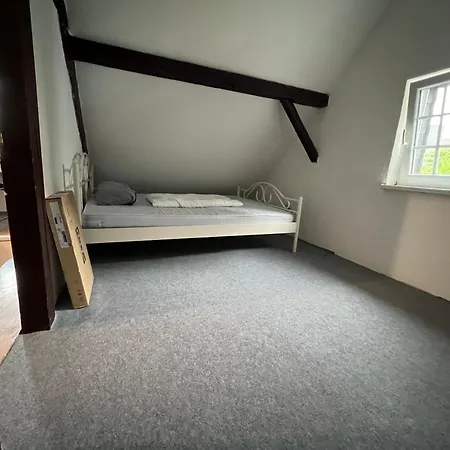 Mehrere In Erster Lage * 지겐